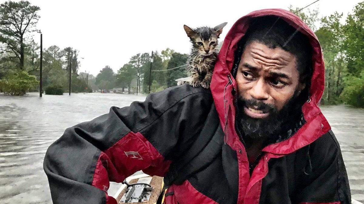 Hurricane preparedness: Plan now to keep your pets safe when a storm strikes