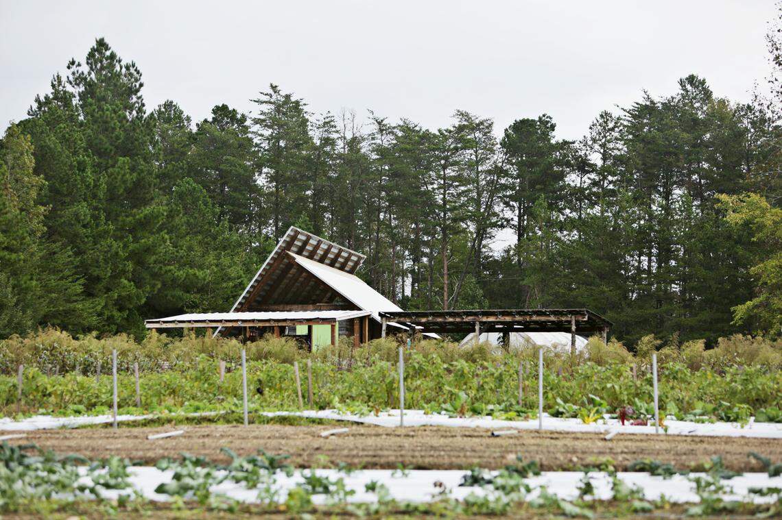 Benevolence Farm near Graham is a nonprofit residential program for women who have been incarcerated. The organization was founded about a decade ago, but it took until about three years ago to secure enough funding to launch. About two acres of a 13-acre tract have been cleared for planting.
