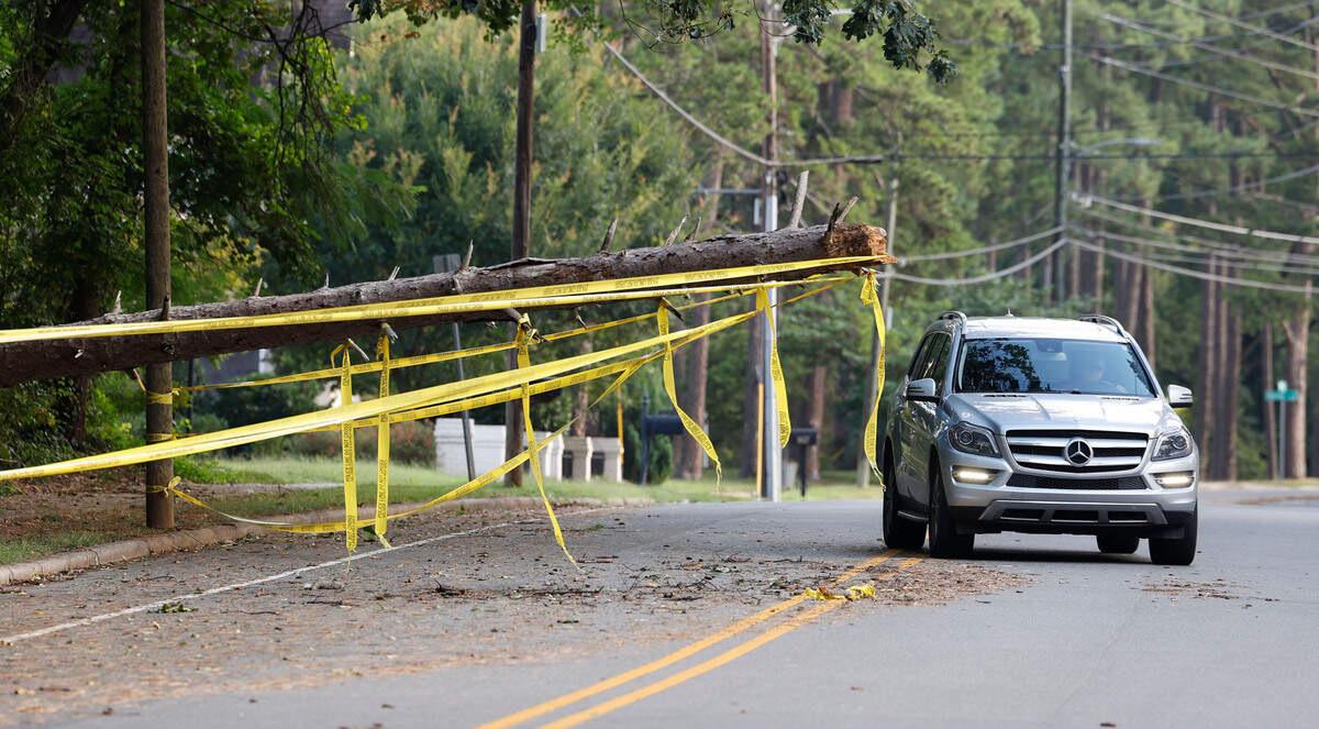 Yellow tape covers the remains of a tree that is blocking traffic southbound on Ridge Road near Lewis Farm Road in Raleigh, N.C., Tuesday morning, August 8, 2023.
