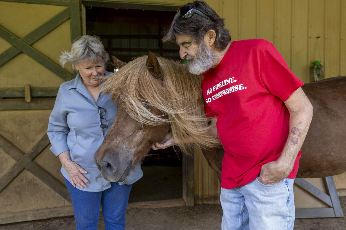 Eileen Gunipero and Dr. James Gunipero, with one of their Icelandic horses, on their 22-acre farm south of Pittsboro on Wednesday, July 29, 2026. They are opposed to a proposed 28-mile natural gas pipeline, that would cross their property.