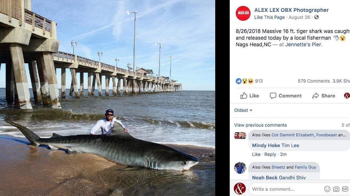 Thousands share photo of man with 16-foot shark on Outer Banks. There’s a big problem with it.