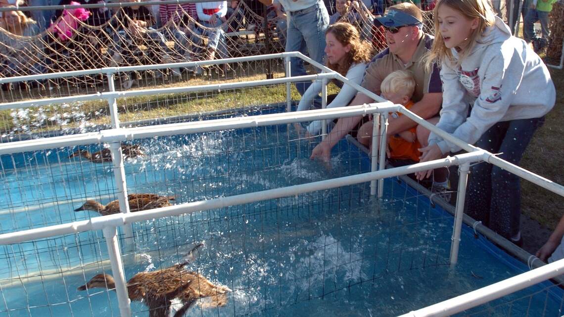 When ducks won the day at the NC State Fair — Today in Triangle History