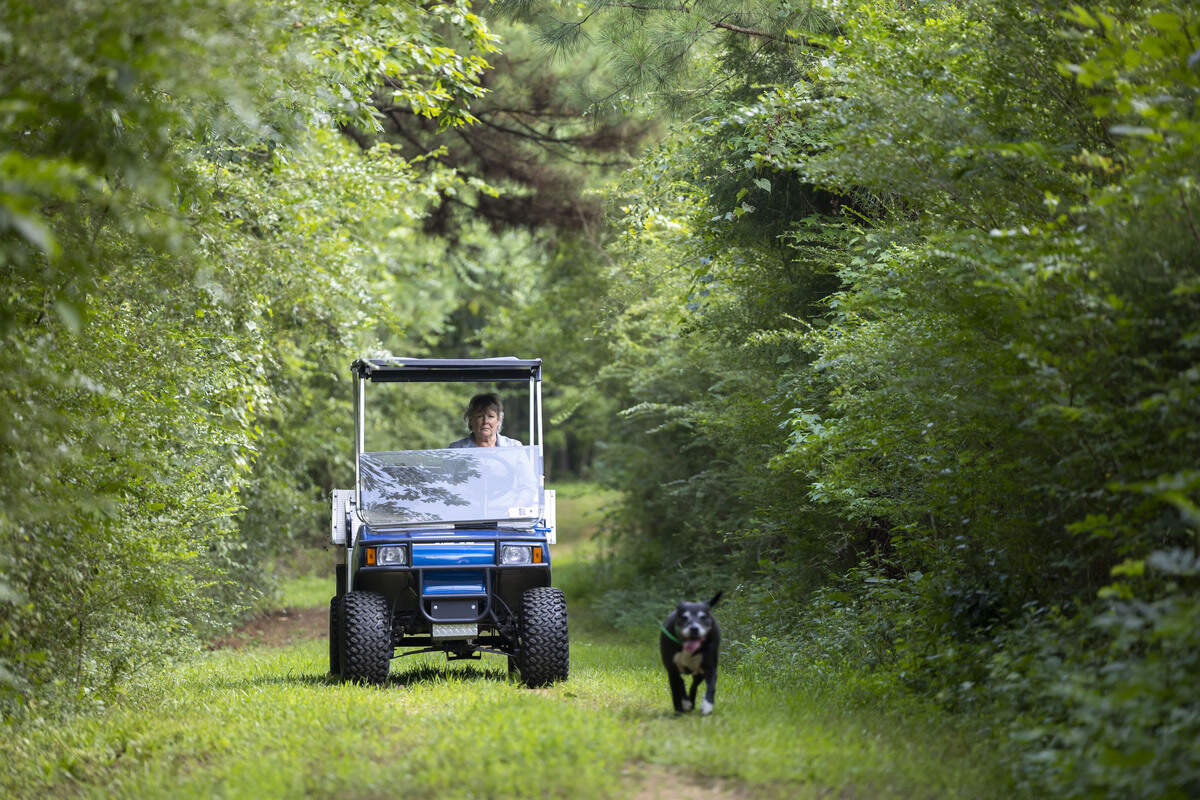 Eileen Gunipero drives across her 22-acre farm, adjacent to where Enbridge has proposed installing part of a 28-mile natural gas pipeline from Siler City to Moncure, on Wednesday, July 29, 2026 south of Pittsboro, N.C.