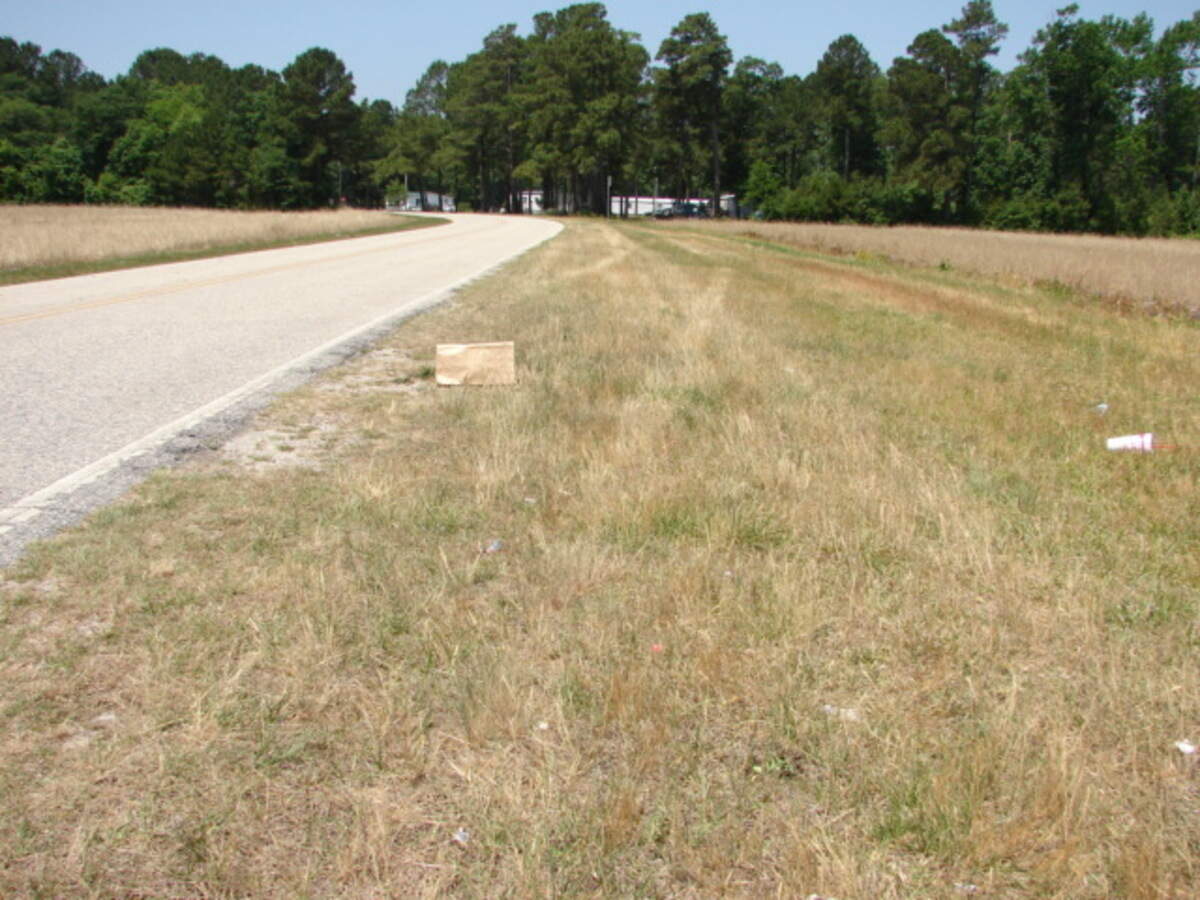 Chuck Campbell, an 85-year-old Wake Forest man, spotted a bag on the side of the road that contained five newborn kittens.
