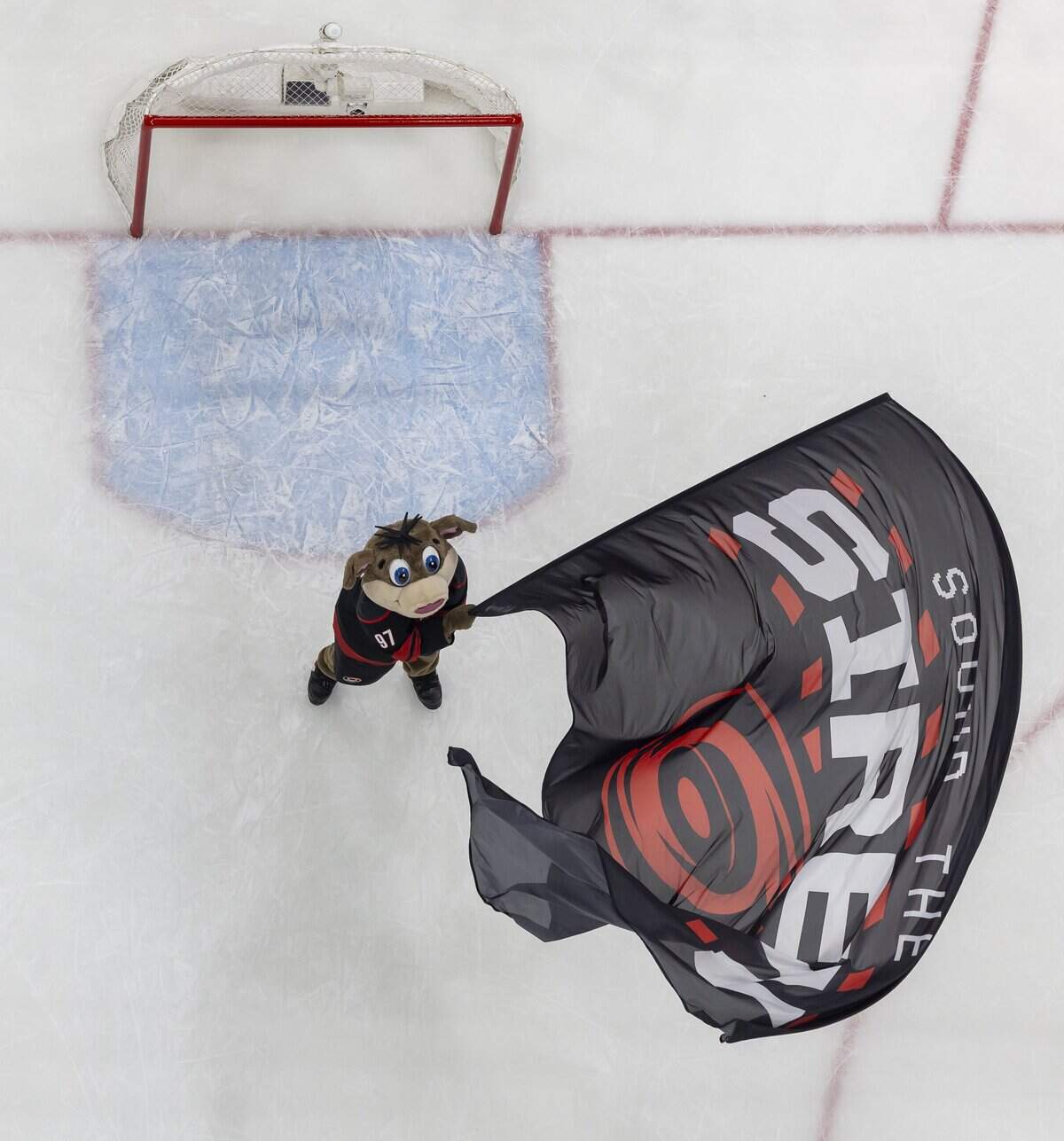Stormy the Carolina Hurricanes mascot waves the victory flag following the 4-2 victory over Vegas in Game 5 of the Stanley Cup Final, on Thursday, June 11, 2026 at Lenovo Center in Raleigh, N.C.