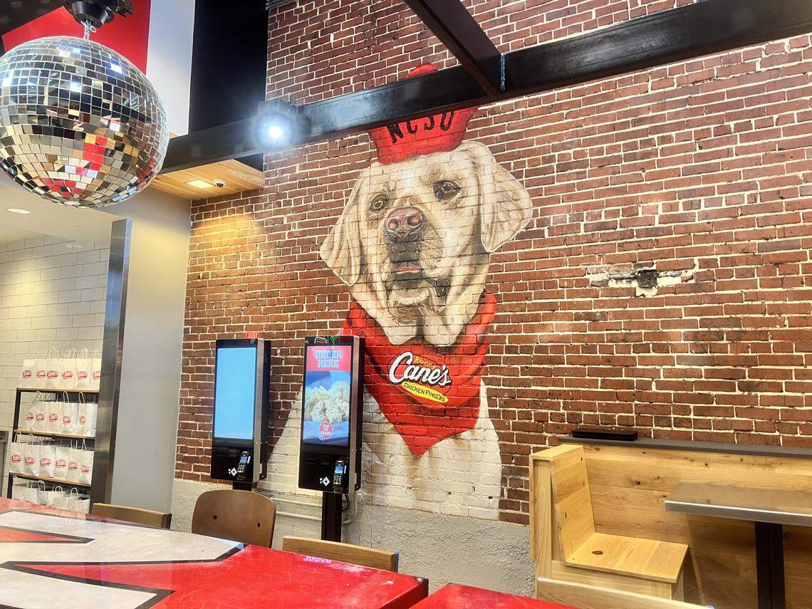 A mural of Cane, the labrador mascot of Raising Cane’s, appears on the wall of the new Hillsborough Street location, wearing an NC State Wolfpack-style hat.