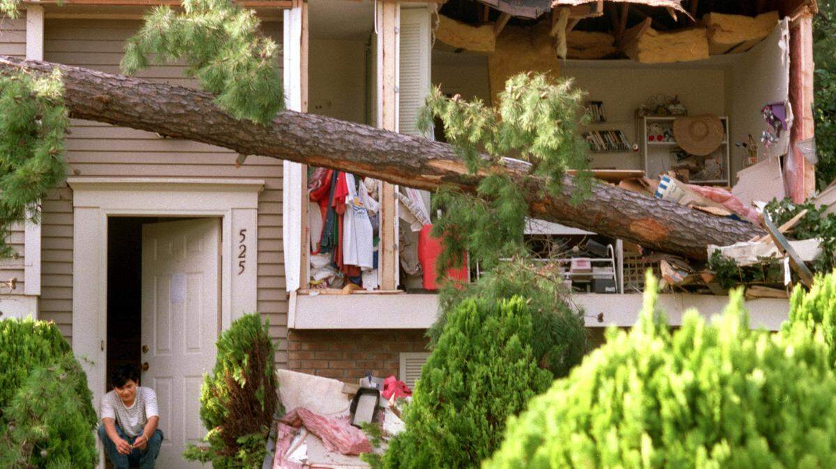 Which trees will likely survive Hurricane Florence? Curious NC investigates.