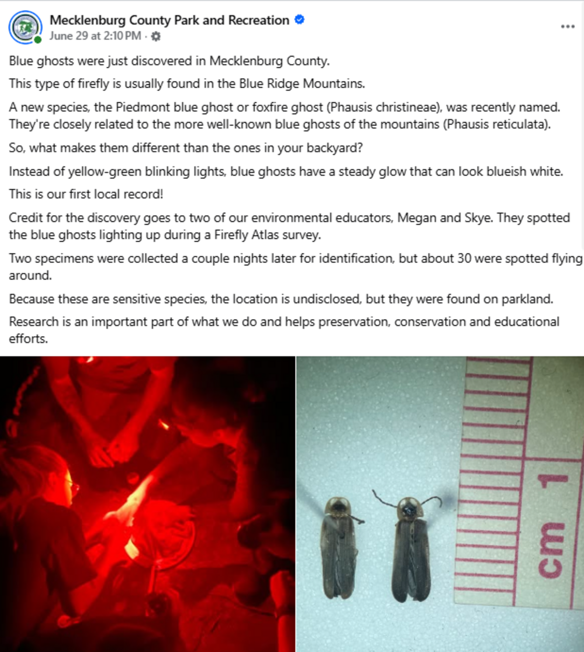 Mecklenburg County Park and Recreation posted to Facebook on June 29, 2026 that blue ghost fireflies were discovered in the county.