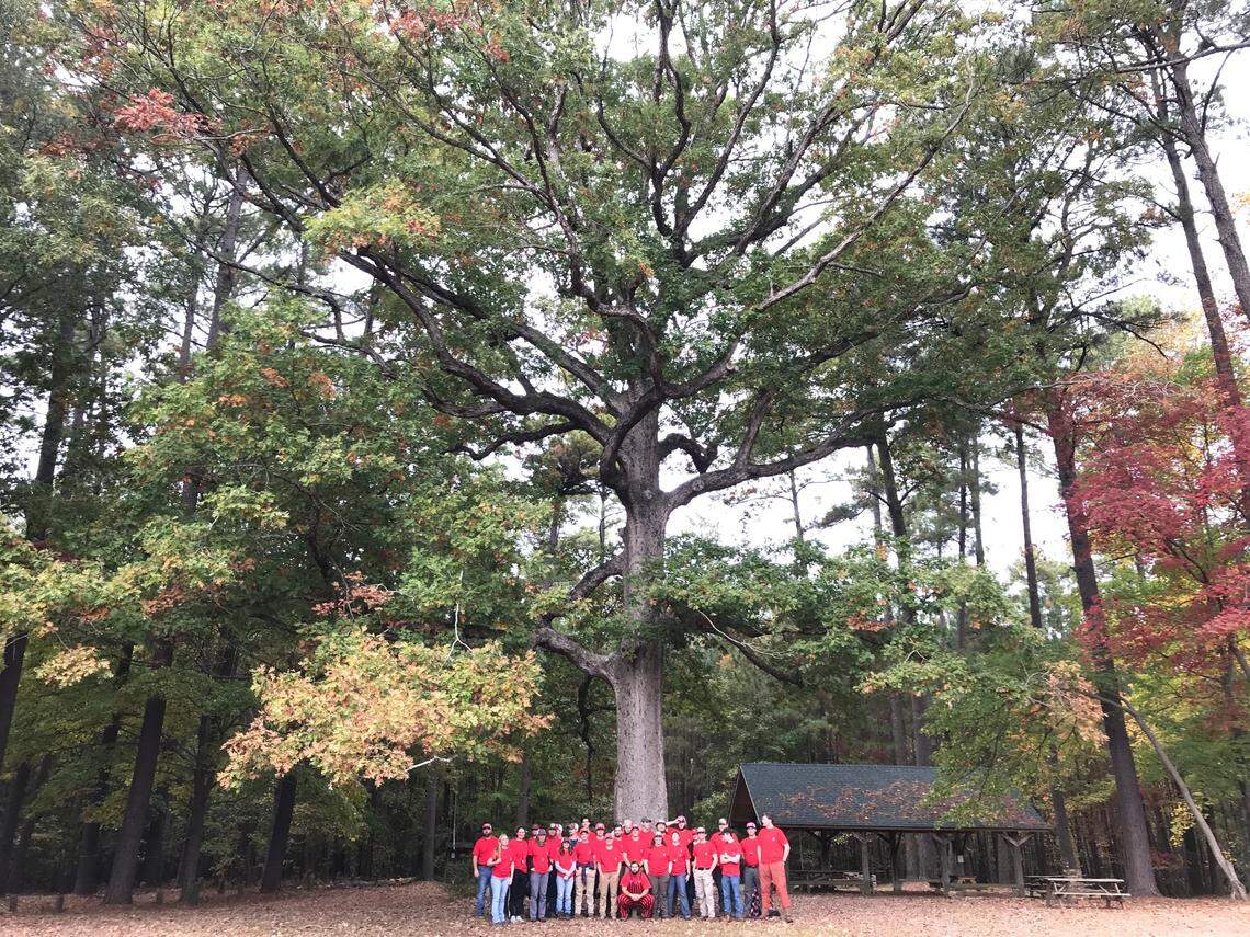 Reader Steph Jeffries’ favorite tree in the Triangle is in Schneck Forest in Raleigh.