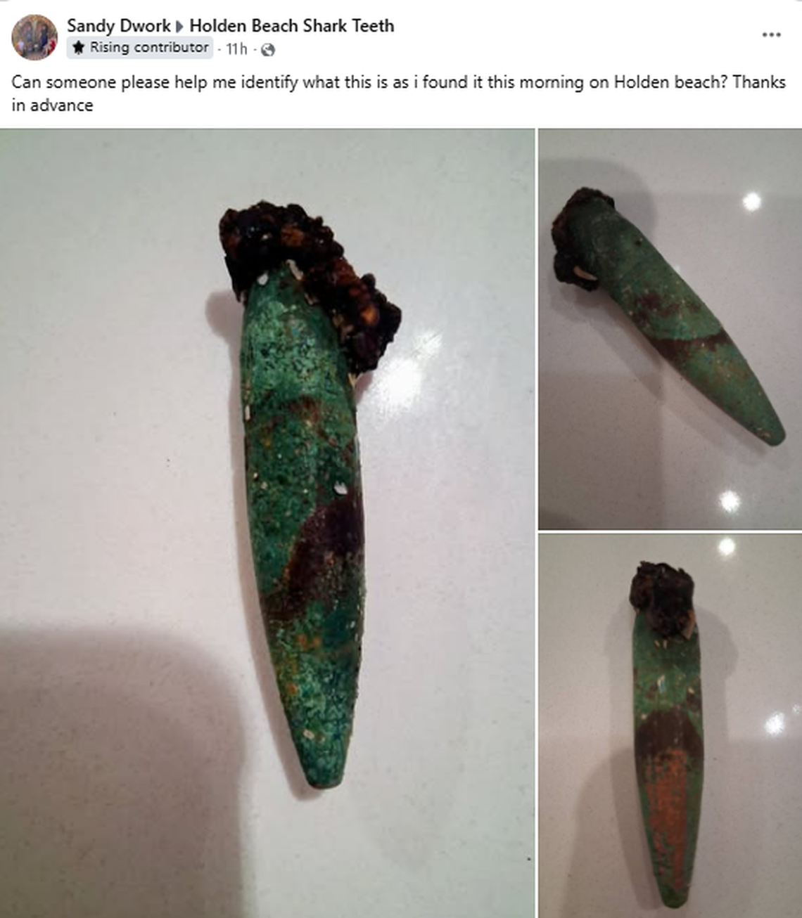 Sandy Dwork of North Myrtle Beach, SC, was intrigued enough with the discovery to consult the nearly 18,000 members of the Holden Beach Shark Teeth Facebook group.