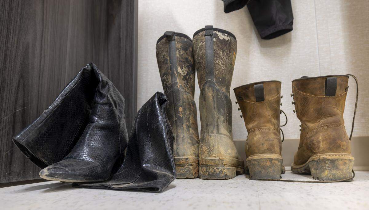 A variety of boots in Sam Roth’s office, at the Veridea mixed use development site on Tuesday, April 28, 2026 in Apex, N.C. Roth is the project manager for the 1,100-acre Veridea development.