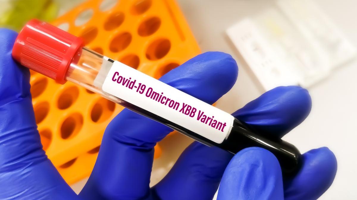 The XBB variant has become the dominant strain of COVID-19.