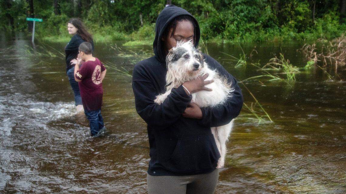 Veronica Henderson, 31, of Kinston is reunited with her dog ‘Grandpaw’ after he was rescued from rising flood waters in Kinston Saturday, Sept. 15, 2018 following the aftermath of Hurricane Florence. Volunteers rescued 18 dogs from a flood-prone neighborhood.