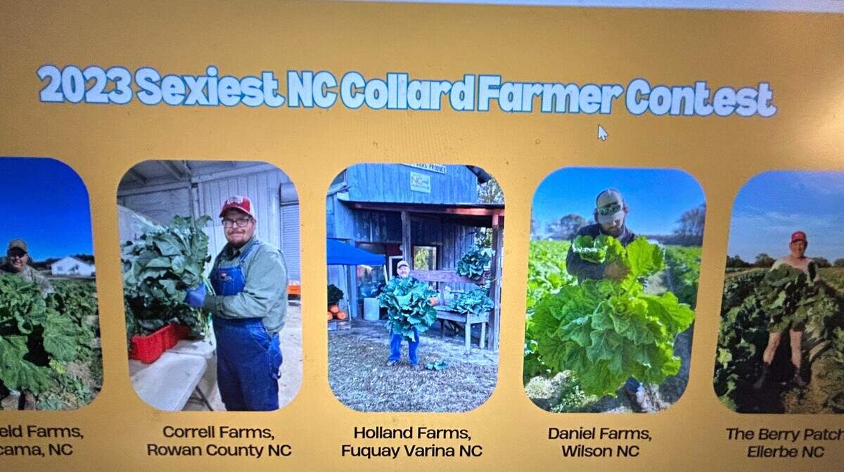 The contestants for the 2023 Sexiest NC Collard Farmer Contest, which will proceed triumphantly again this year.