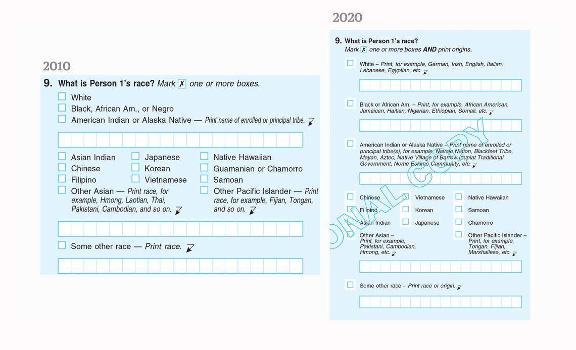 Changes to the race question in the 2020 census form added write-in categories for origin and ancestry for every racial category. In 2010, that option was only available for people who identified as American Indian, Asian or some other race.