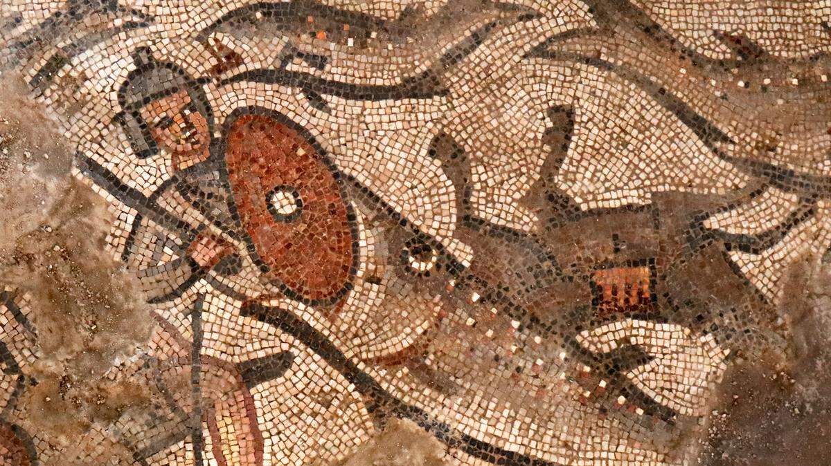 A mosaic of a fish swallowing Pharoah’s soldier in the Parting of the Red Sea found at an excavation site of a fifth-century synagogue in  Huqoq, Israel. Jodi Magness, a UNC religious studies professor, has led the excavation that has led to the discoveries of  the first non-biblical scene depicted in a synagogue; painted plaster columns in rare condition; and oddly-located cisterns, which were used for water storage as well as several mosaics.