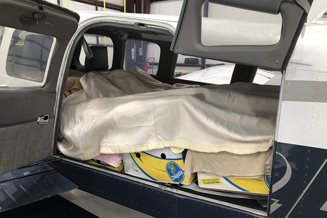 Sea turtles are packed in banana boxes and covered with blankets to maintain their temperature during flight.