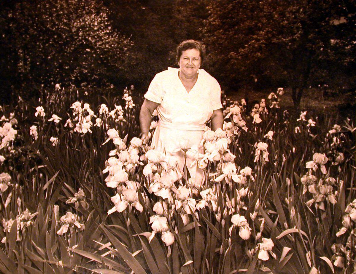 Isabelle Bowen Henderson in the mid-1950s with some of the hybrid irises she grew at her home off Oberlin Road in Raleigh. Her home and gardens will be open to the public from 1 to 4 p.m. on April 3, 2022.