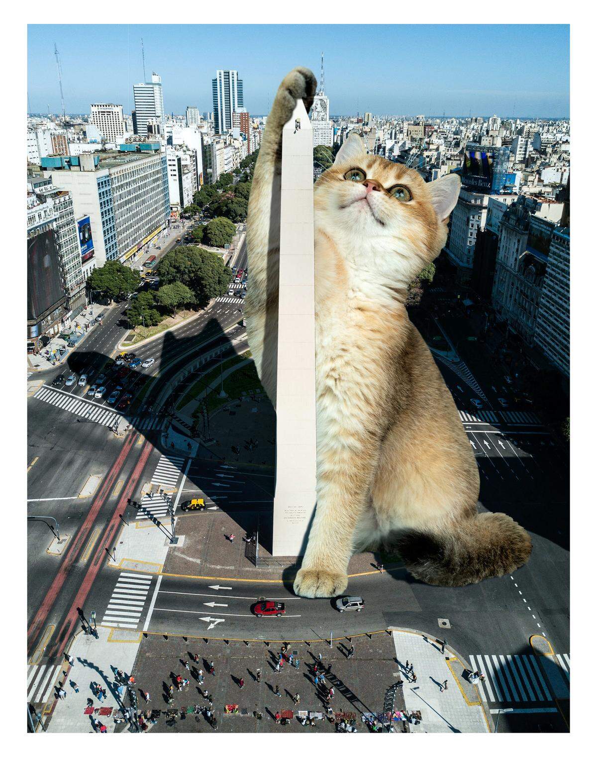 “Buenos Aires” from Matt McCarthy’s “Magnus Cattus” collection of digital art prints.