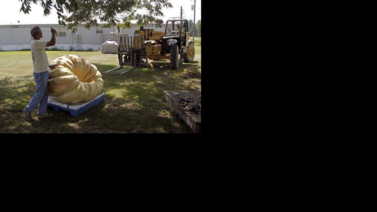 PUMPKIN04-NE-090314-CCS