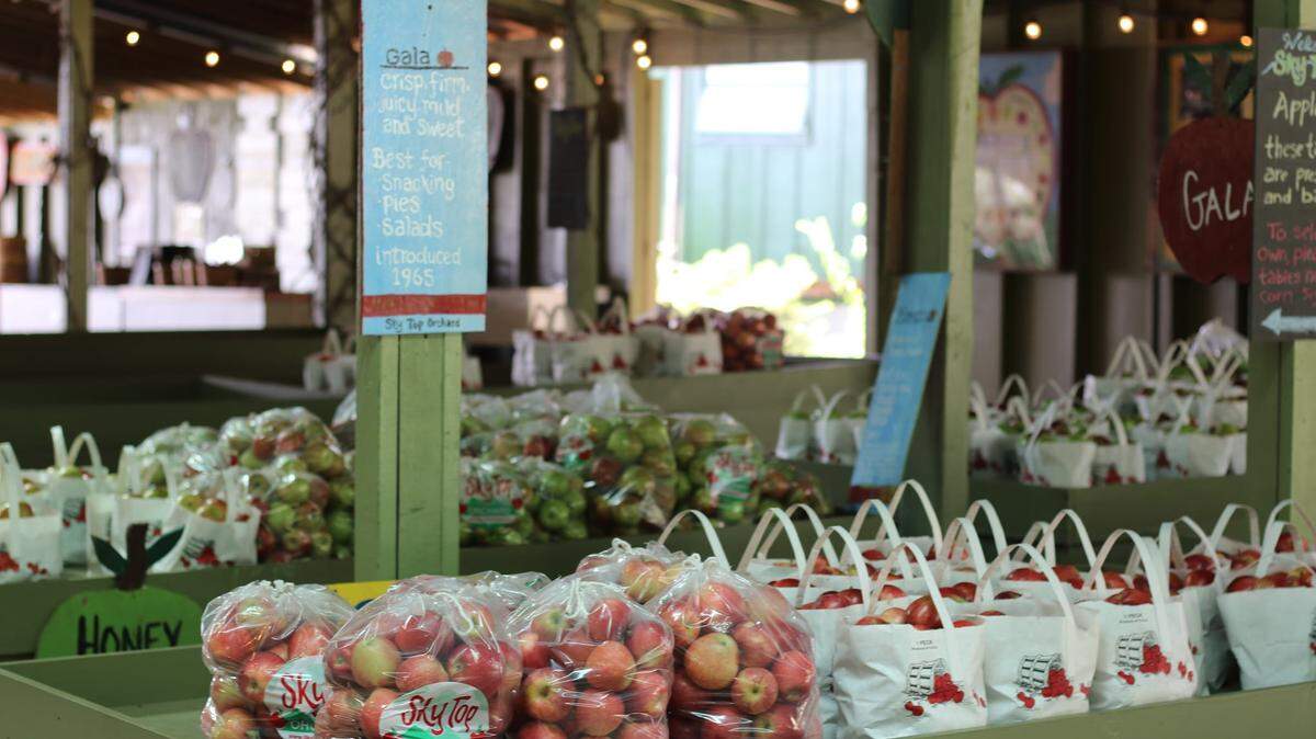 Sky Top Orchard in Zirconia, NC (just south of Flat Rock) won a top-10 USA TODAY 10Best award for Best Apple Orchard in the United States.