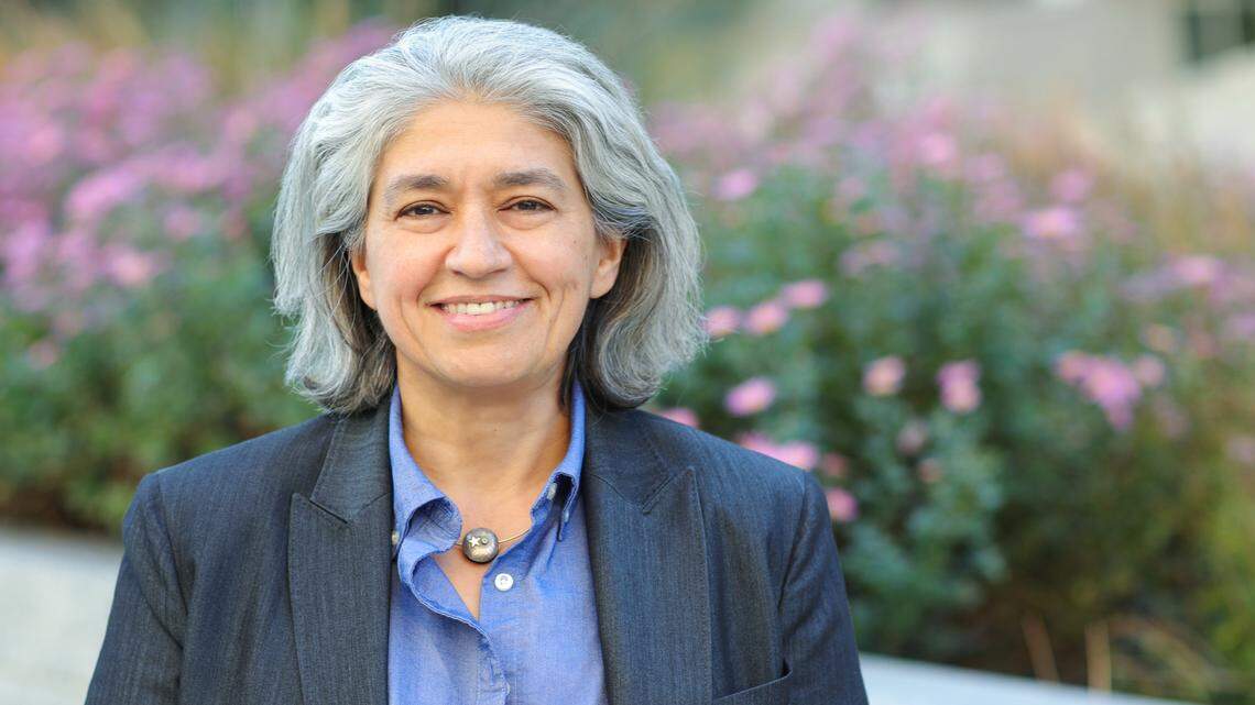 Democrat Lisa Grafstein, candidate for Senate District 13 in NC, answers our questions