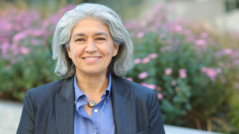 Southern Wake senator faces GOP challenger. Her take on MLB, hemp, data centers