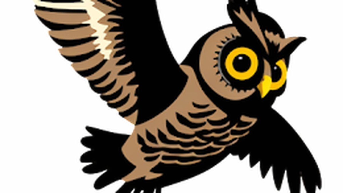A Chapel Hill neighborhood has designed this T-shirt in support of a local owl who has been swooping down and attacking joggers and pedestrians. They are educating themselves about how to coexist with the raptor, likely a young owl learning to hunt, and have named him/her Owl Capone.