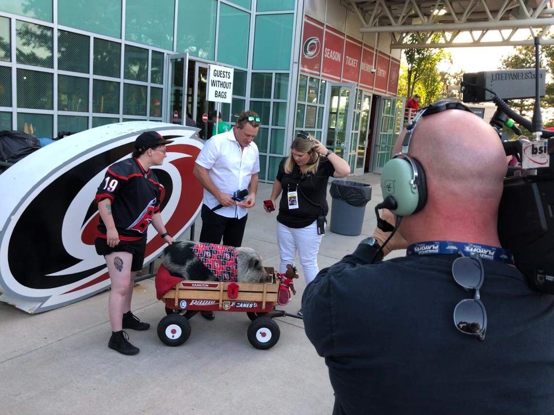 NHL legend Jeremy Roenick interviews Hamilton the Pig for NBC Sports Network before Game 3 of the Eastern Conference Finals game against the Boston Bruins in Raleigh, May 14, 2019.