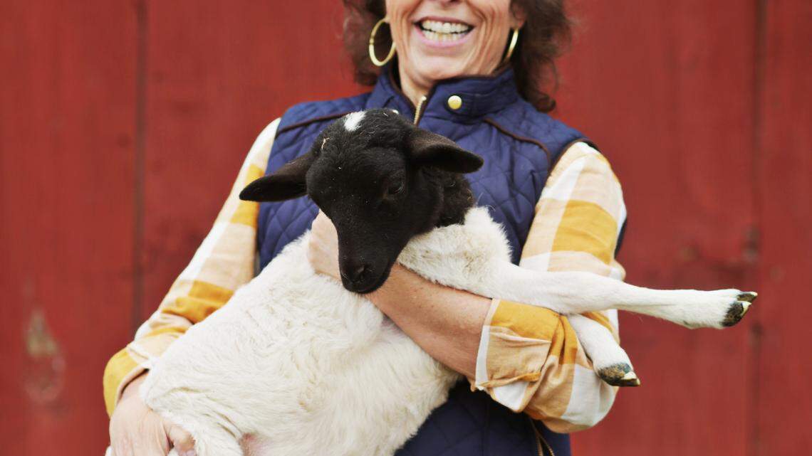 Rainbow Farms reverts to centuries-old techniques to produce high-quality meats