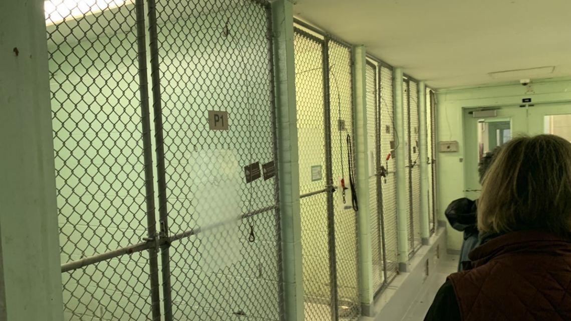 Durham needs new animal shelter, experts say. An ‘urgent situation,’ says commissioner.