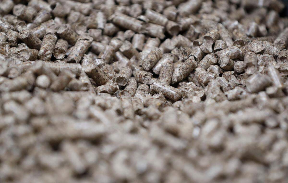 Wood pellets produced at the Enviva plant in Northampton County, N.C., seen on Tuesday, Sept. 3, 2019. Enviva is the world’s largest producer of wood pellets,