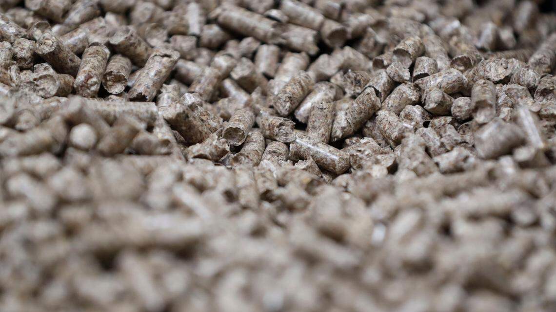 SLOW BURN (Part 2): From Poland to NC, activists plea for reduced carbon dioxide