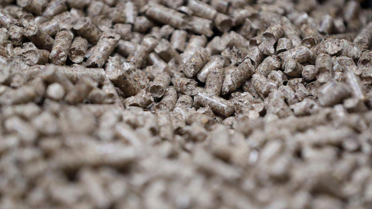 SLOW BURN (Part 2): From Poland to NC, activists plea for reduced carbon dioxide