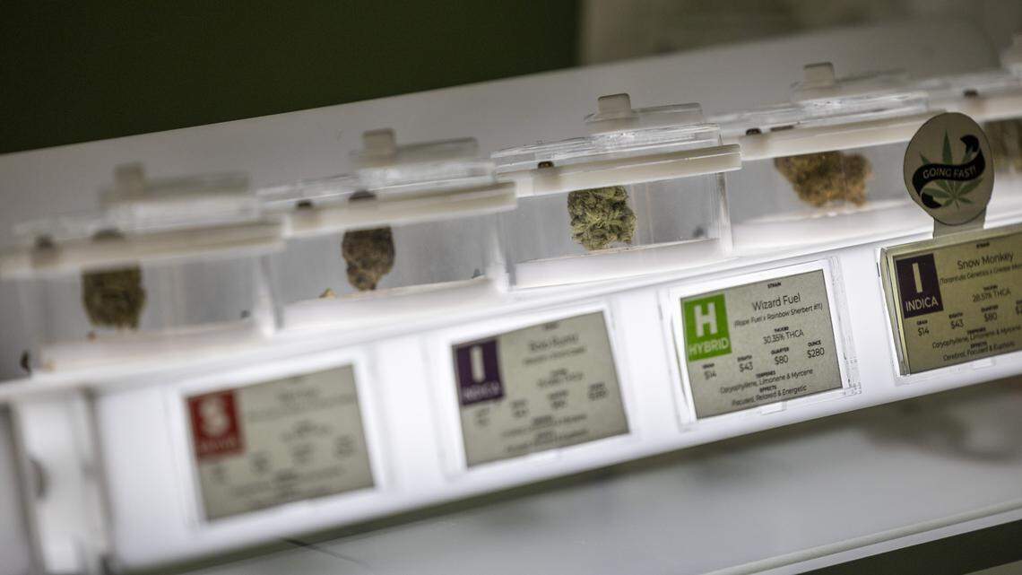 Examples of hemp flower strains for sale at a Carolindica store in Raleigh on Tuesday, Nov. 25, 2025. A new federal provision could remove most hemp products from shelves, threatening North Carolina shops, growers and supply chains as businesses increase lobbying efforts.