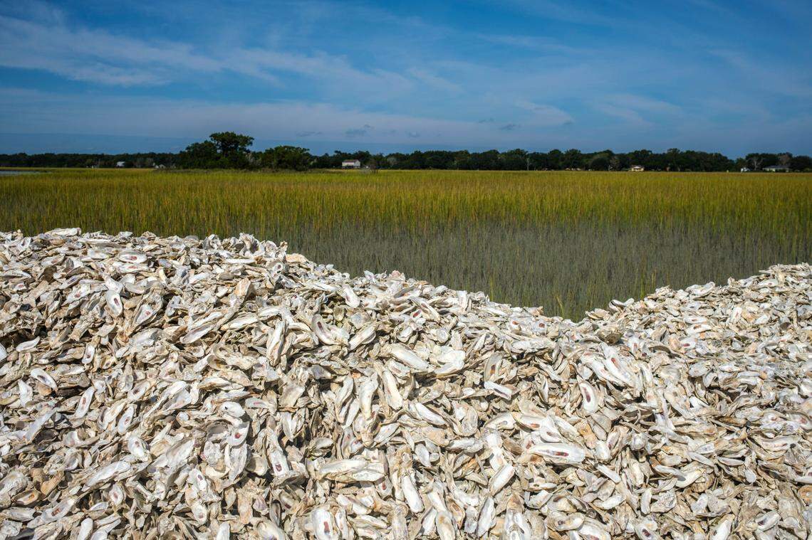 Empty oyster shells are mounded for recycling alongside the marsh at Bowen’s Island Restaurant in Folly Beach, S.C. Oct. 4, 2021.