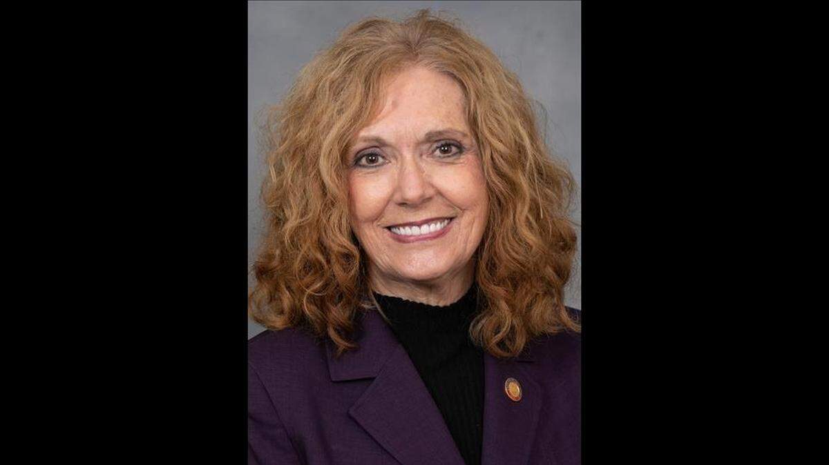 Cynthia Ball, candidate for NC House District 49