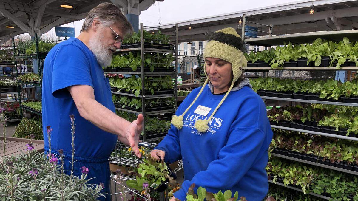 At Logan’s Garden Shop in downtown Raleigh, Bridget Zazzara talks to shopper Ray Holland about baby lettuce plants. Zazzara was moving tender specimens into the greenhouse or under shelter Thursday ahead of the cold and snow