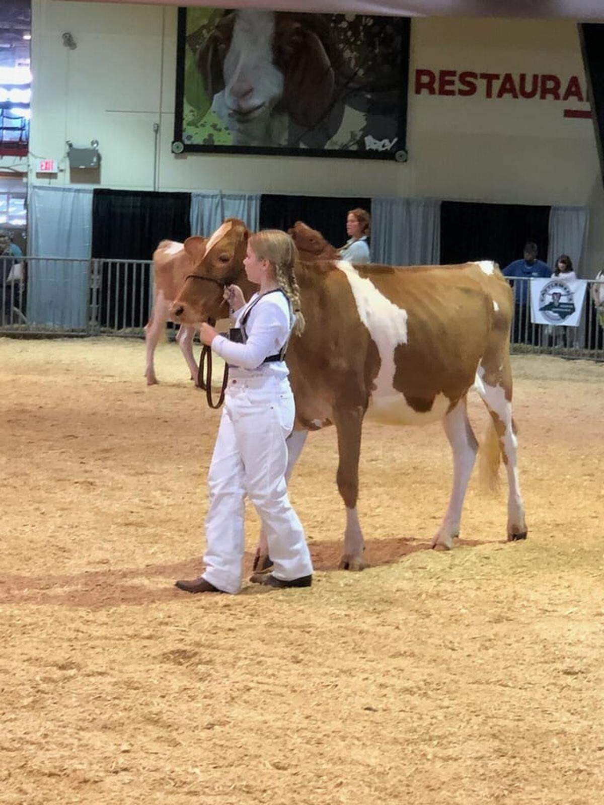 Ashley Bridges McMurry’s niece Stella and her cow at the 2021 N.C. State Fair.