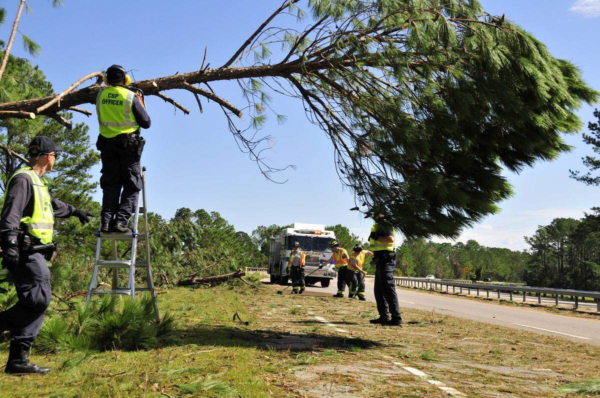 Customs and Border Protection officer and Border Patrol agent working with the Leland Fire Department to clear downed trees that fell into the Hwy 74 travel lanes.
