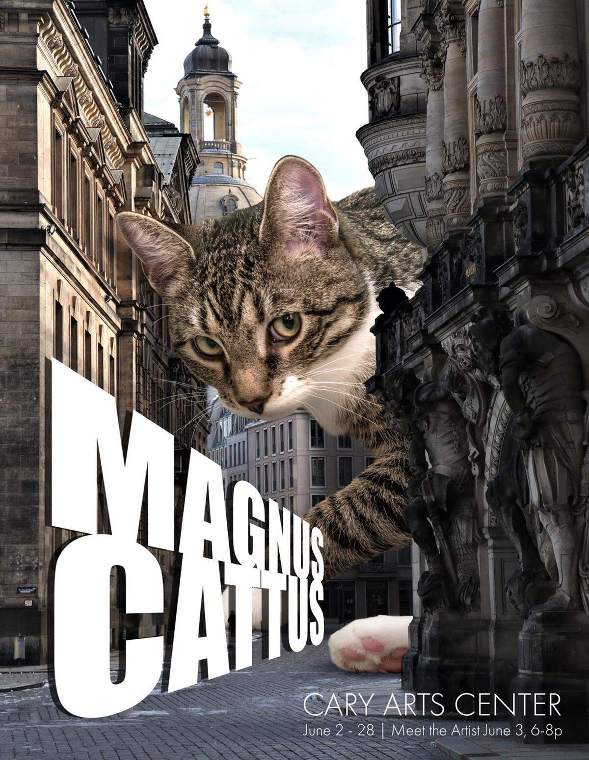 Matt McCarthy’s “Magnus Cattus” show runs until June 28 at Cary Arts Center