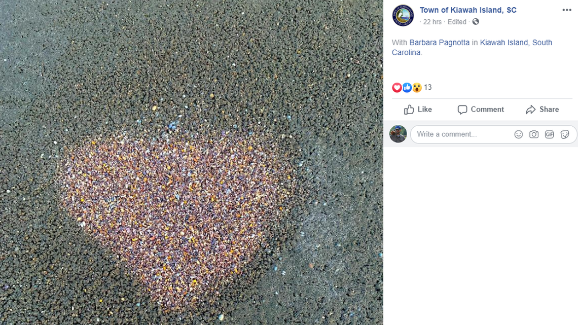 Odd heart-shaped patch of color on South Carolina beach likely was clam mating ritual