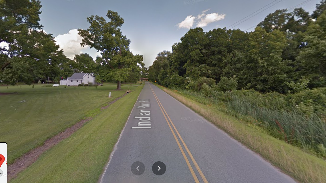 Brenda Hamilton was out for an early morning walk when she was attacked and killed in the Pantego community. A new report blames domestic dogs.