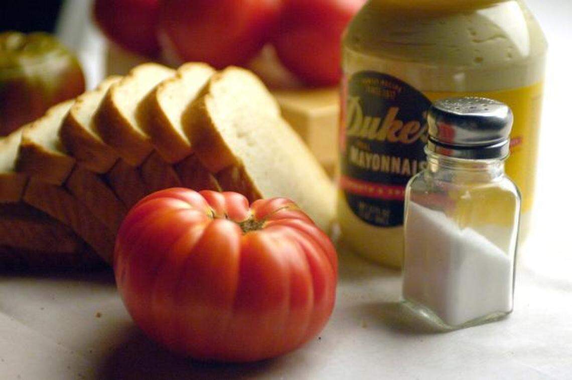 FOOD TOMATO-SANDWICH 2 CH