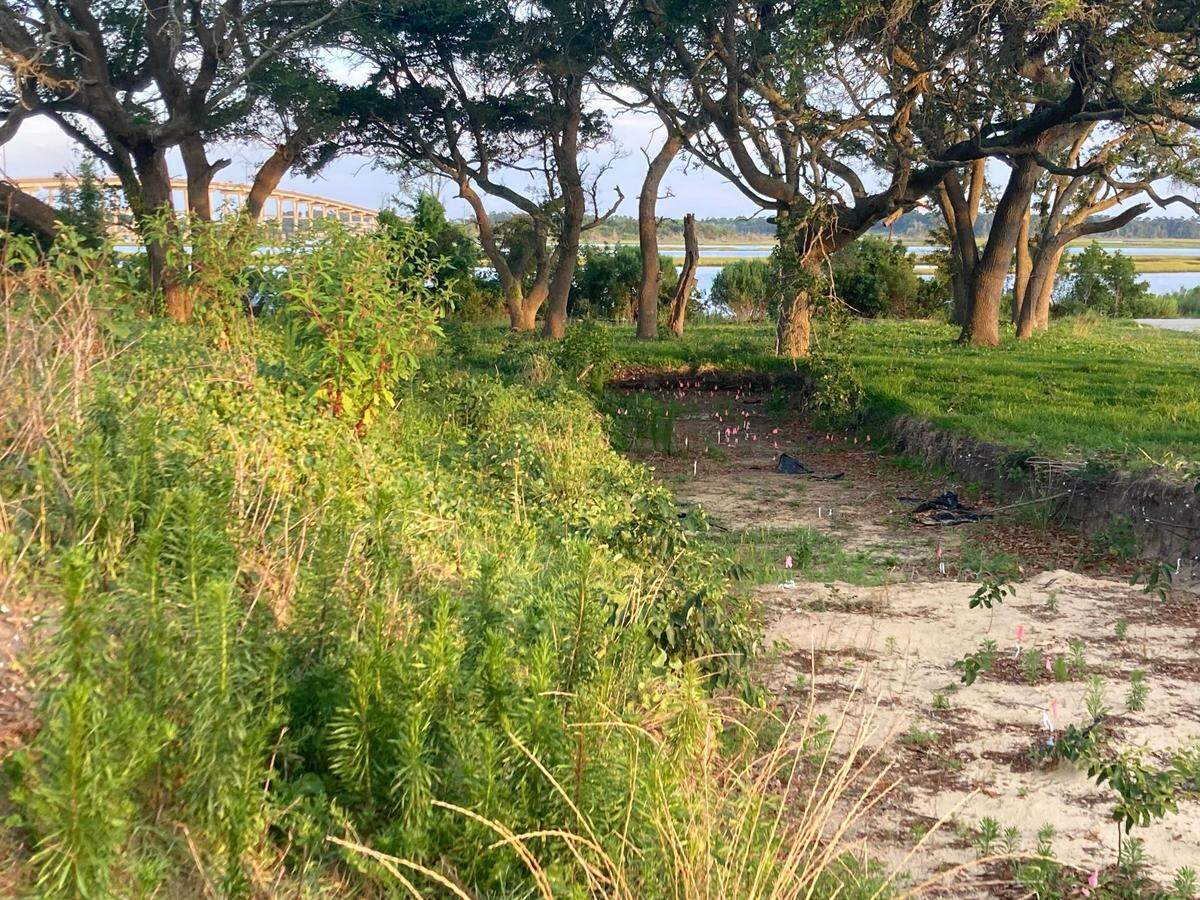 A series of trenches line a portion of the Bridge View development in Cedar Point, NC. The trenches were dug by an archaeological consultant who found thousands of artifacts, including 11 human burial sites, on 1.13 acres of the 21-acre development.