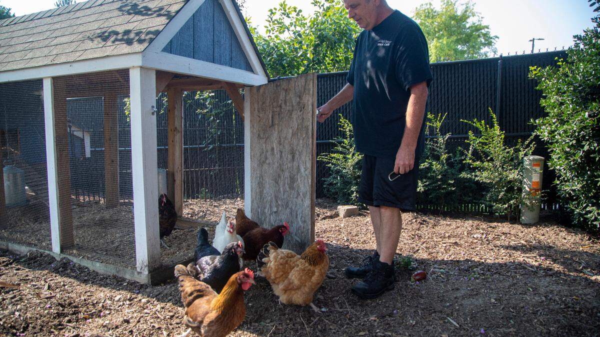 Since last Farm Aid concert, Walnut Creek has embraced sustainability — and chickens
