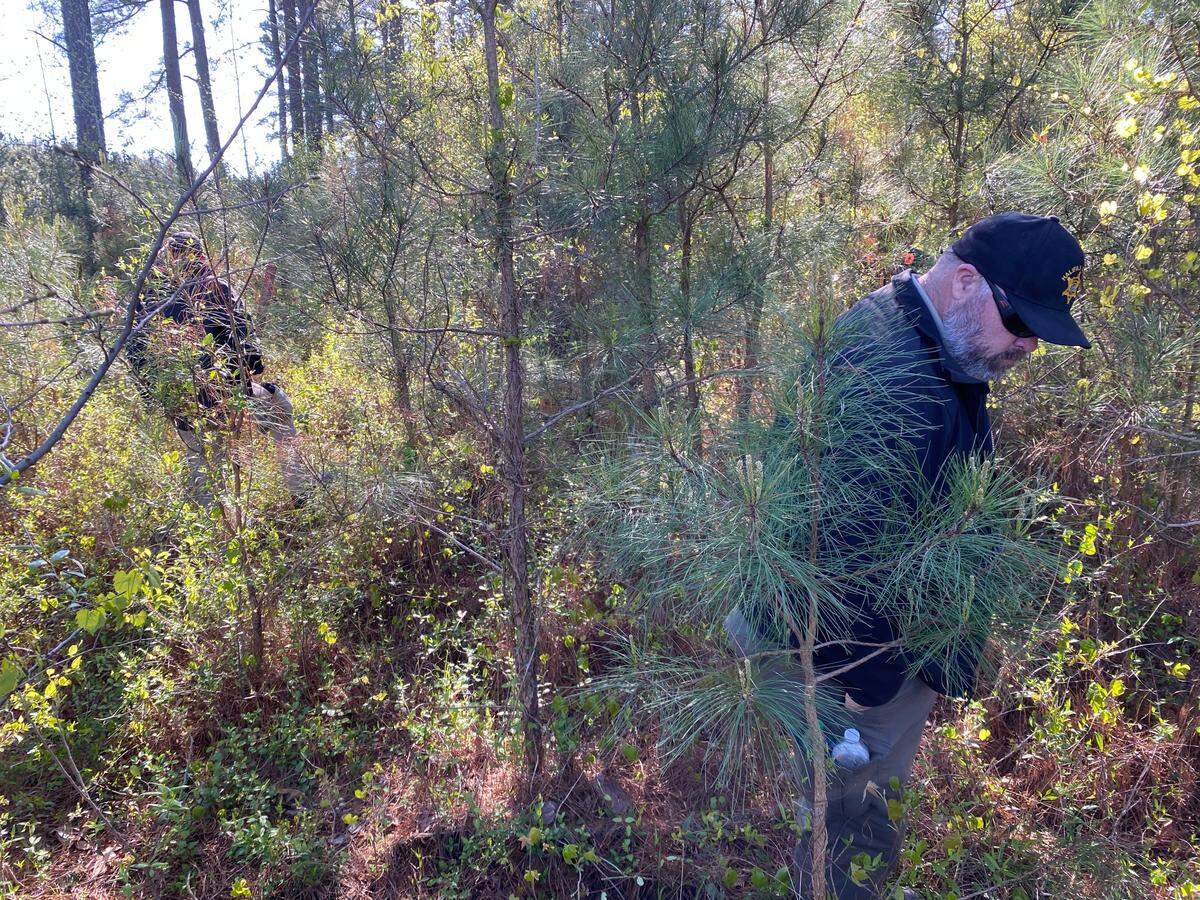 About 50 people searched through the Northampton County woods near Jackson, NC, Tuesday acting on information about the 2011 disappearance of Daniel Moses.