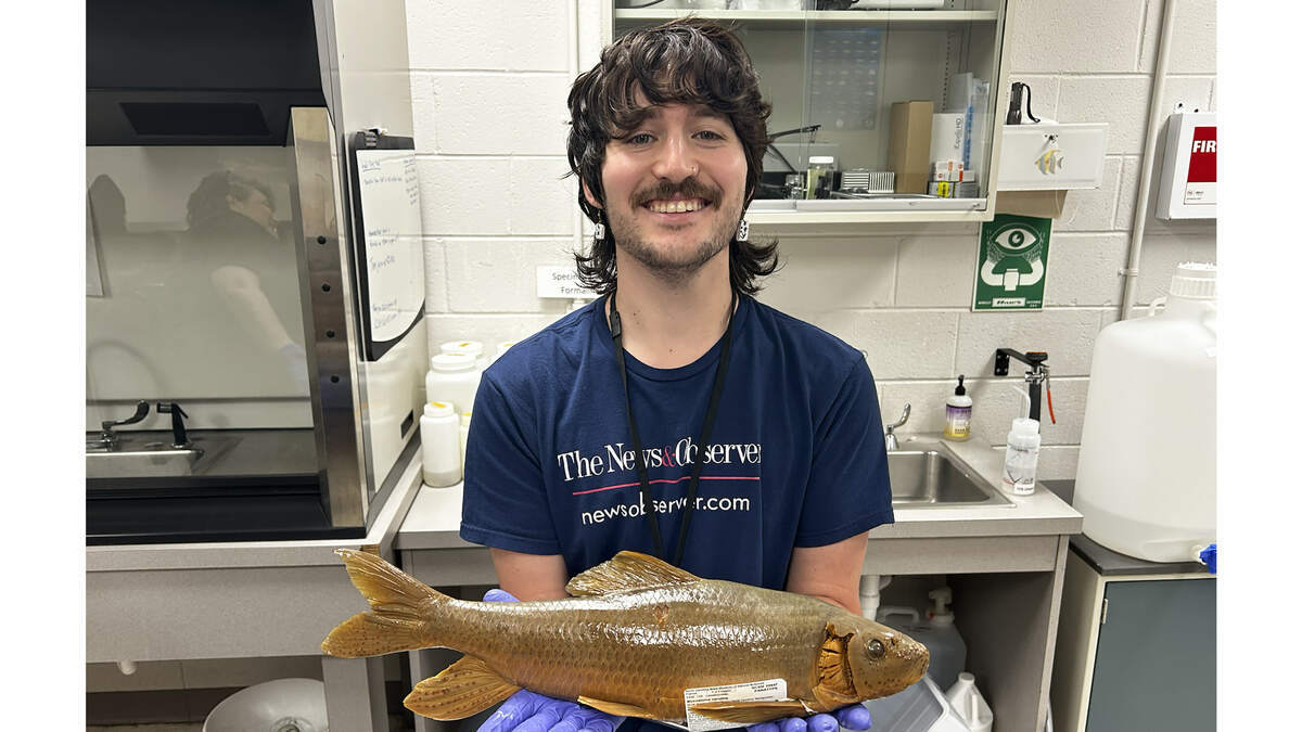 News & Observer science reporter Luke Bowles holds the newly described Carolina redhorse at the aquatic collections facility of the N.C. Museum of Natural Sciences.