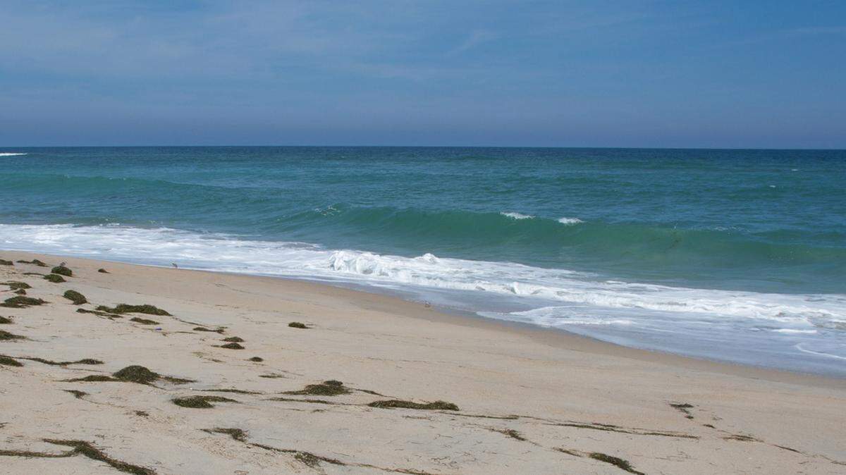 Researchers with the Clearwater Marine Aquarium in Florida report an orca has been sighted for the first time off Kitty Hawk on North Carolina’s Outer Banks.
