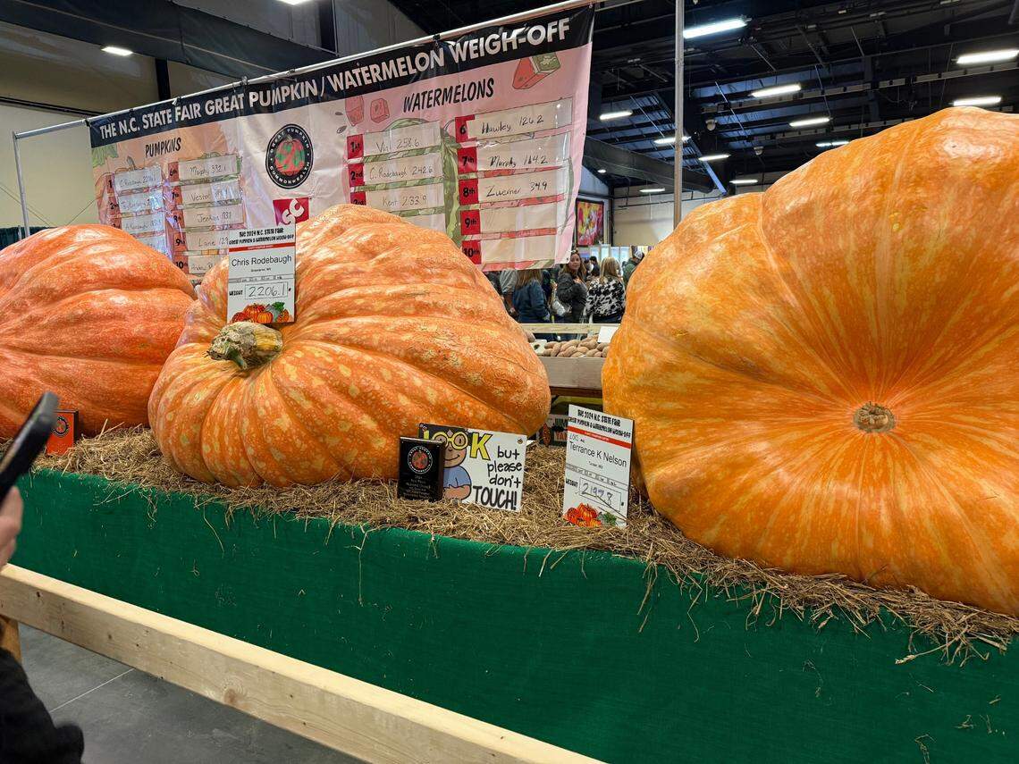 The gourd that won first place in the N.C. State Fair Great Pumpkin Weigh-Off in 2024 came in at just over 2,206 pounds.